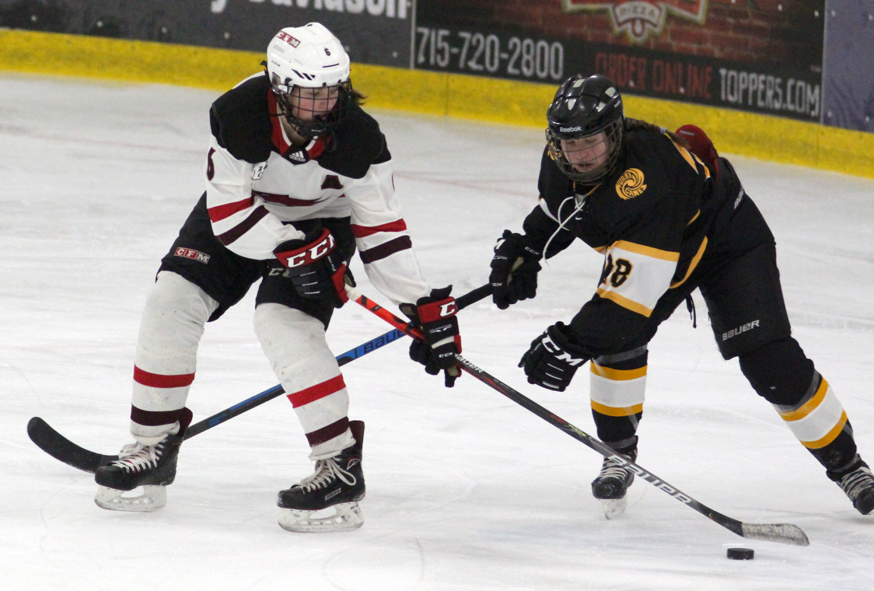 Hayward at Chippewa Falls/Menomonie girls hockey 2-20-20